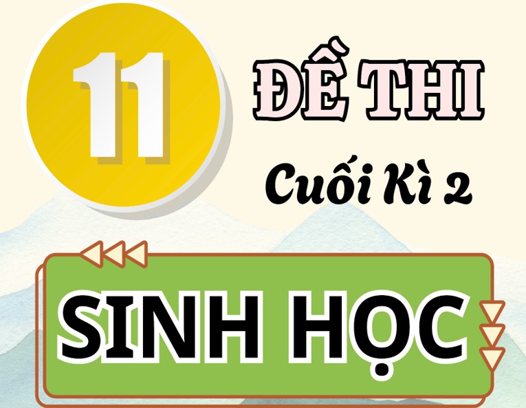 Bộ 11 đề kiểm tra cuối kì 2 Sinh 12 có đáp án